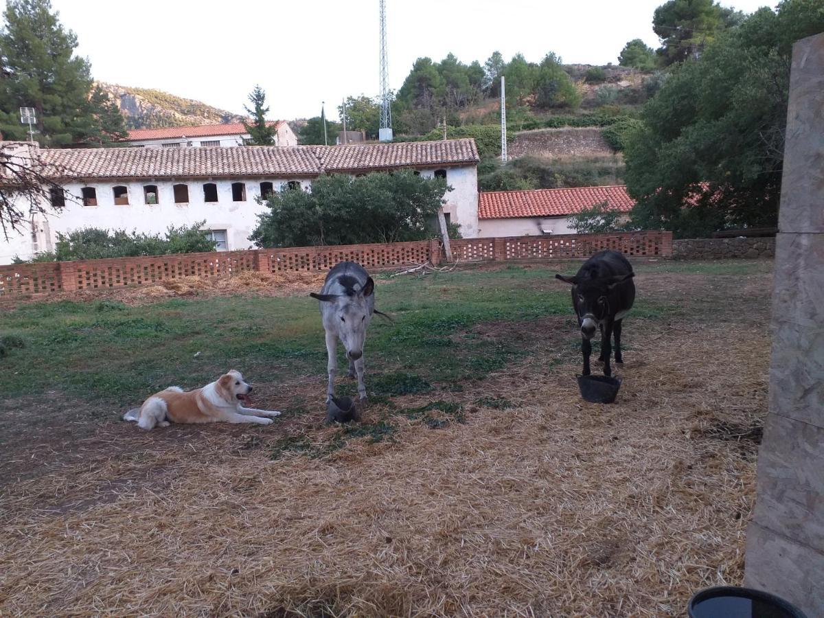 Ferienwohnung Ca La Mati Beceite Exterior foto